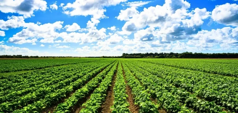 zonas agricolas de venezuela
