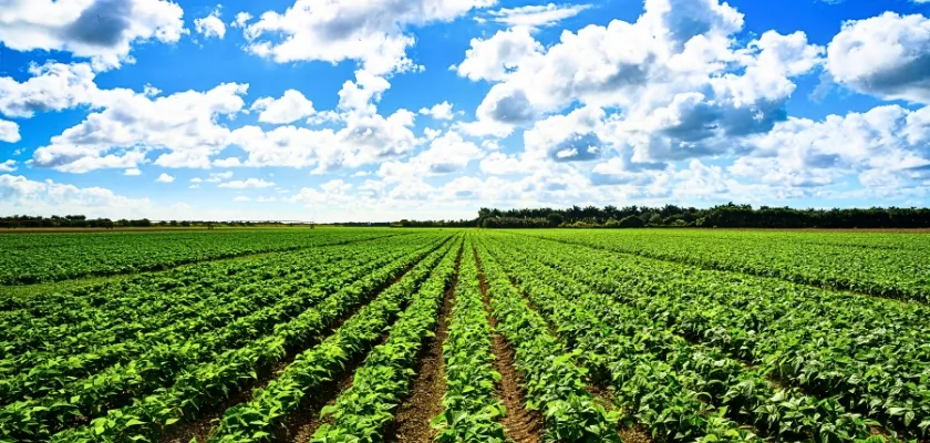 zonas agricolas de venezuela