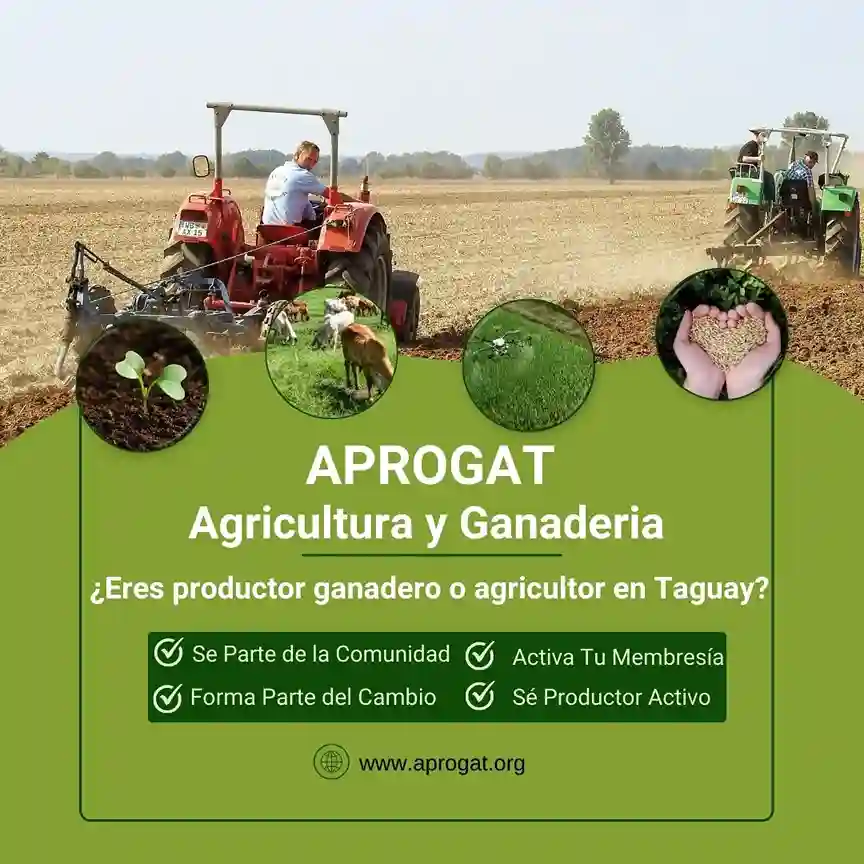 presentacion aprogat