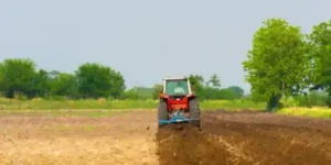 Estados agrícolas de Venezuela