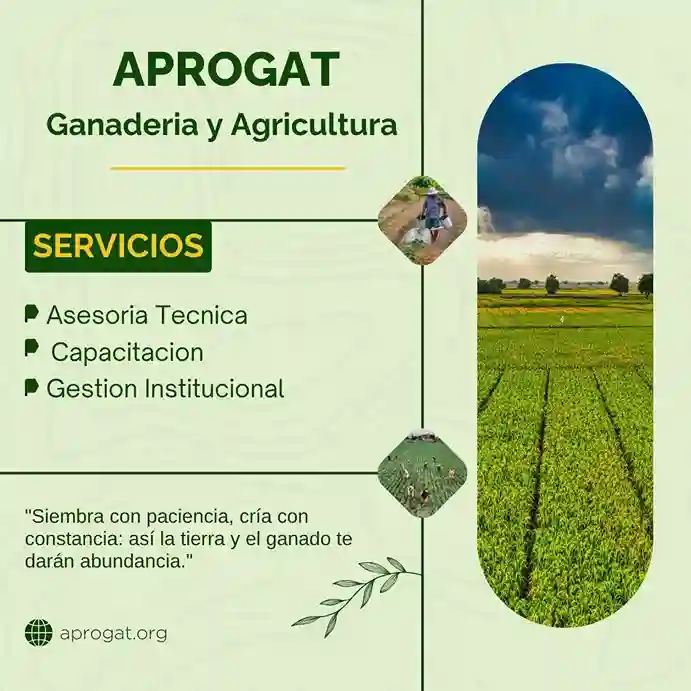 servicio agropecuarios